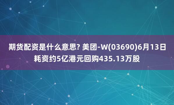 期货配资是什么意思? 美团-W(03690)6月13日耗资约5亿港元回购435.13万股