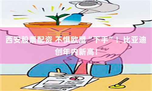 西安股票配资 不惧欧盟“下手”！比亚迪创年内新高！